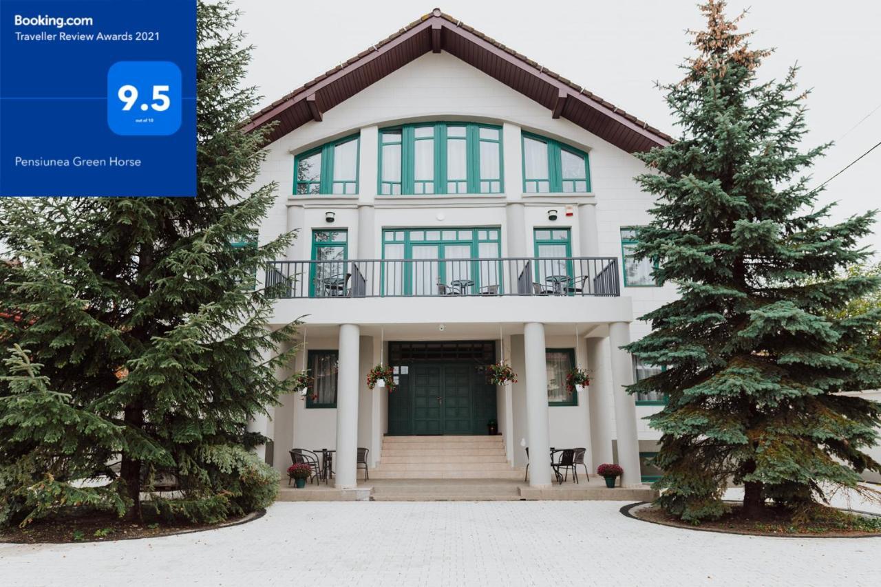 Green Villa Sibiu Exterior photo